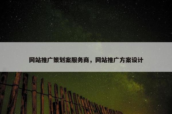 网站推广策划案服务商，网站推广方案设计