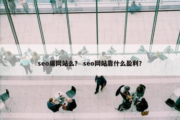 seo属网站么？ seo网站靠什么盈利？