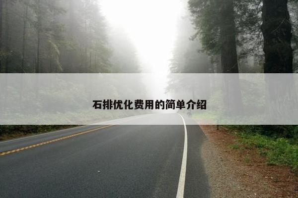 石排优化费用的简单介绍