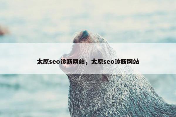 太原seo诊断网站，太原seo诊断网站