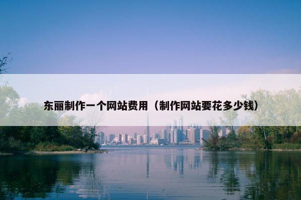 东丽制作一个网站费用（制作网站要花多少钱）