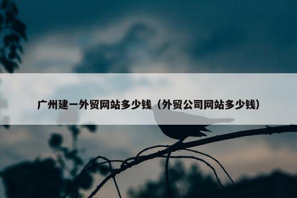 广州建一外贸网站多少钱（外贸公司网站多少钱）
