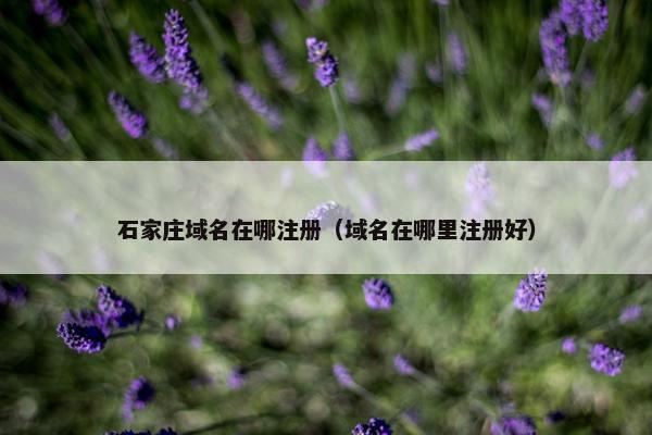 石家庄域名在哪注册（域名在哪里注册好）
