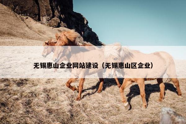 无锡惠山企业网站建设（无锡惠山区企业）