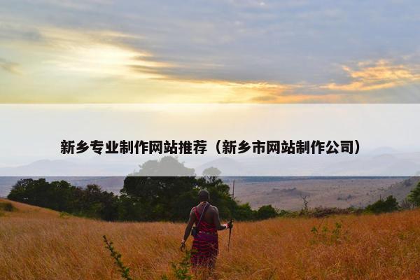 新乡专业制作网站推荐（新乡市网站制作公司）