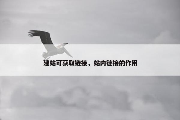建站可获取链接，站内链接的作用