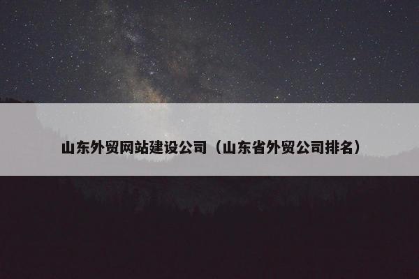 山东外贸网站建设公司（山东省外贸公司排名）