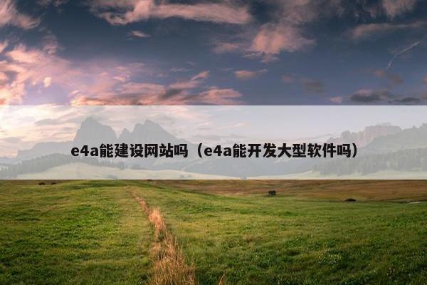 e4a能建设网站吗（e4a能开发大型软件吗）