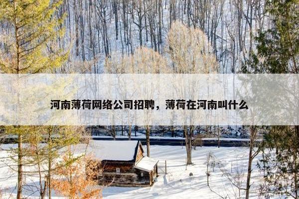 河南薄荷网络公司招聘，薄荷在河南叫什么
