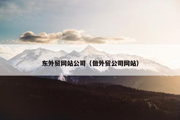 东外贸网站公司（做外贸公司网站）