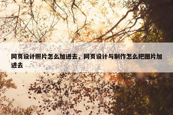 网页设计照片怎么加进去，网页设计与制作怎么把图片加进去