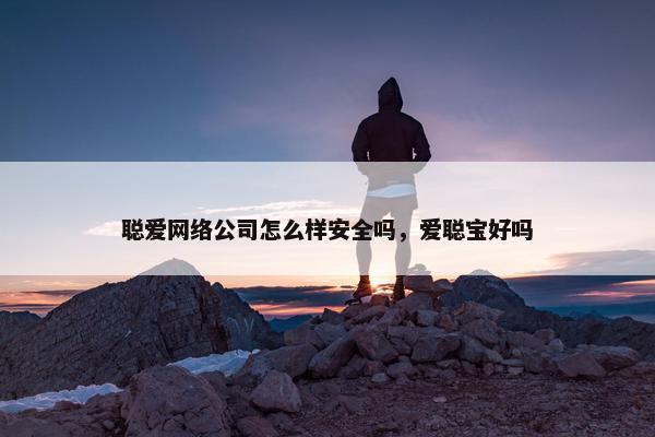聪爱网络公司怎么样安全吗，爱聪宝好吗