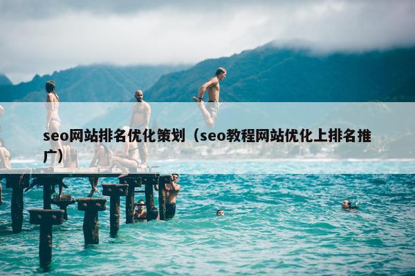 seo网站排名优化策划（seo教程网站优化上排名推广）