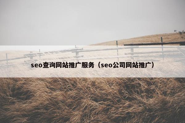 seo查询网站推广服务（seo公司网站推广）