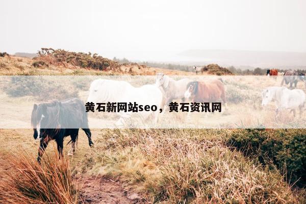 黄石新网站seo，黄石资讯网