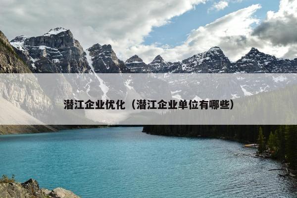 潜江企业优化（潜江企业单位有哪些）