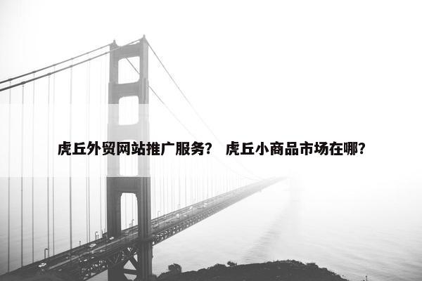 虎丘外贸网站推广服务？ 虎丘小商品市场在哪？