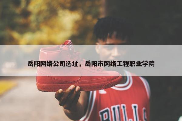 岳阳网络公司选址，岳阳市网络工程职业学院