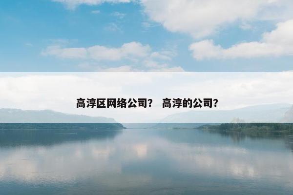 高淳区网络公司？ 高淳的公司？