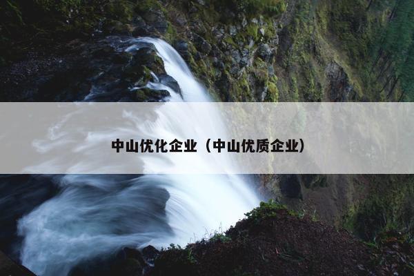 中山优化企业（中山优质企业）