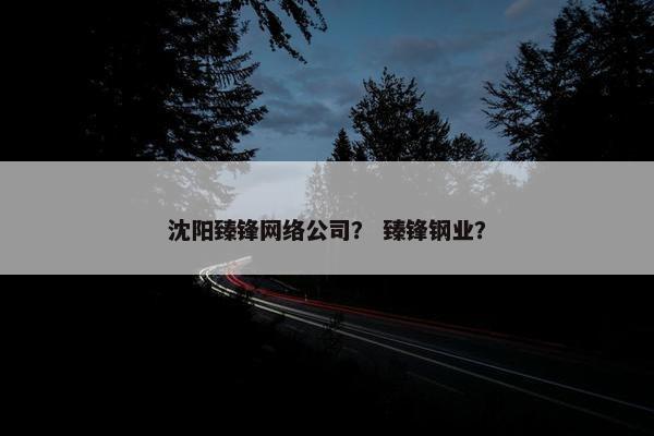 沈阳臻锋网络公司？ 臻锋钢业？