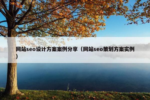 网站seo设计方案案例分享（网站seo策划方案实例）