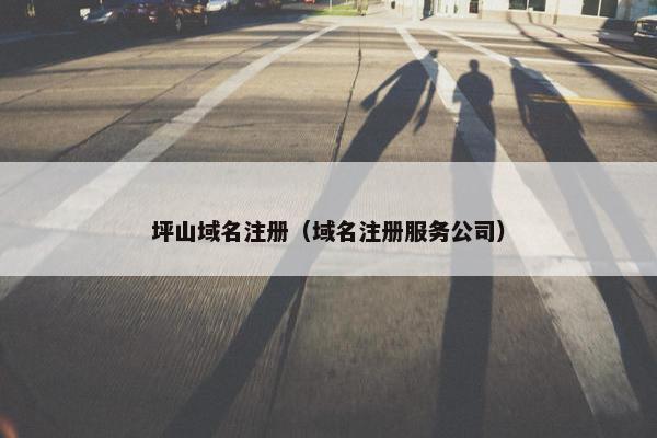 坪山域名注册（域名注册服务公司）