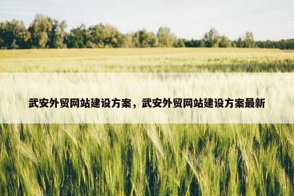 武安外贸网站建设方案，武安外贸网站建设方案最新