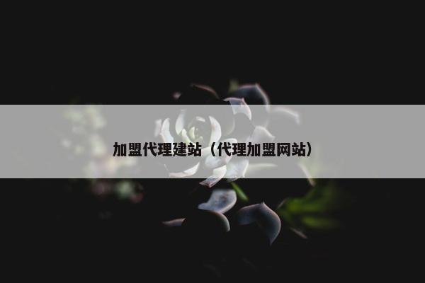 加盟代理建站（代理加盟网站）