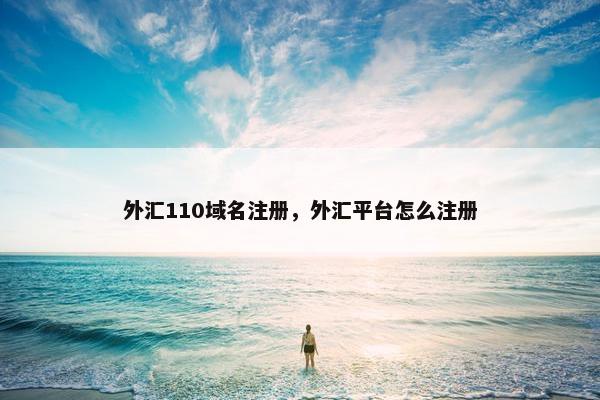 外汇110域名注册，外汇平台怎么注册