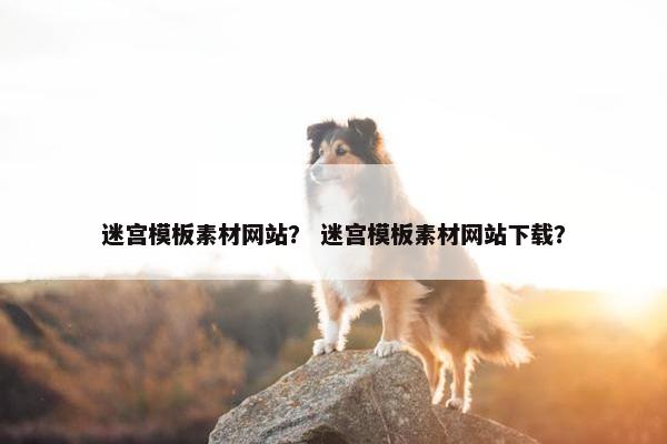 迷宫模板素材网站？ 迷宫模板素材网站下载？