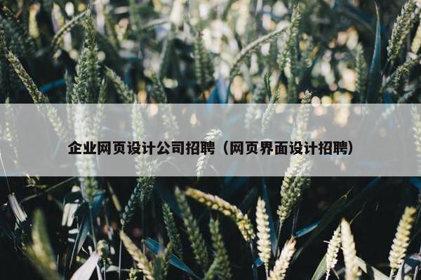 企业网页设计公司招聘（网页界面设计招聘）