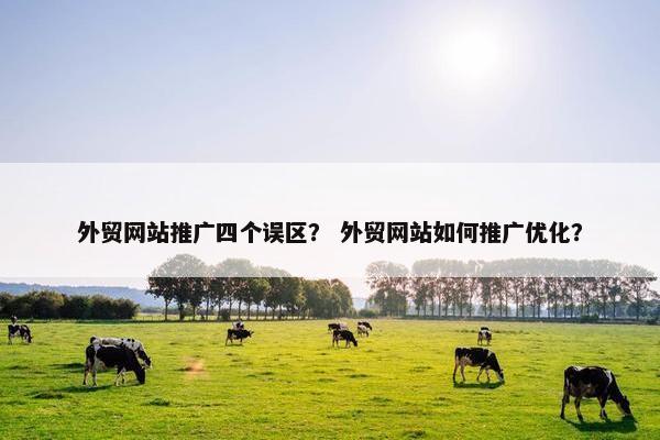 外贸网站推广四个误区？ 外贸网站如何推广优化？