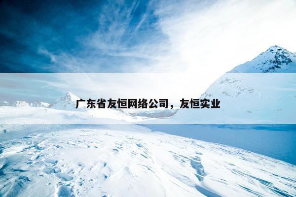 广东省友恒网络公司，友恒实业