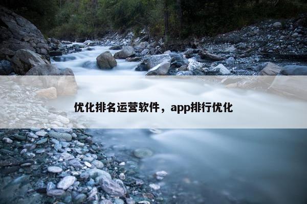 优化排名运营软件，app排行优化