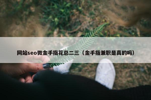 网站seo微金手指花总二三（金手指兼职是真的吗）