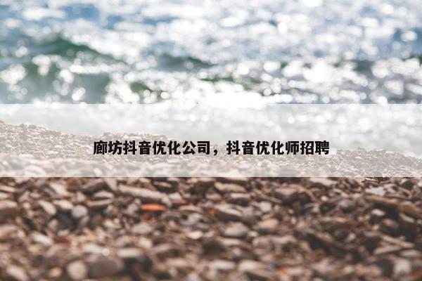 廊坊抖音优化公司，抖音优化师招聘