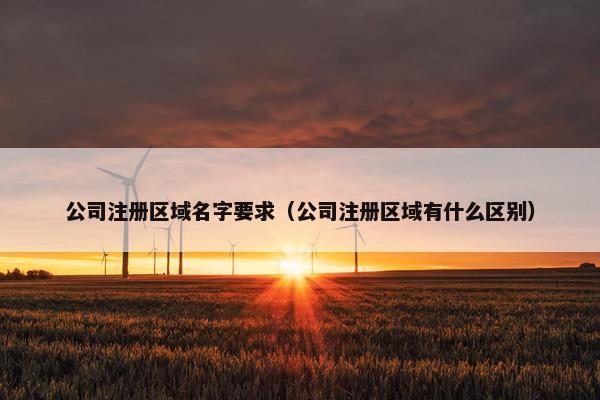 公司注册区域名字要求（公司注册区域有什么区别）
