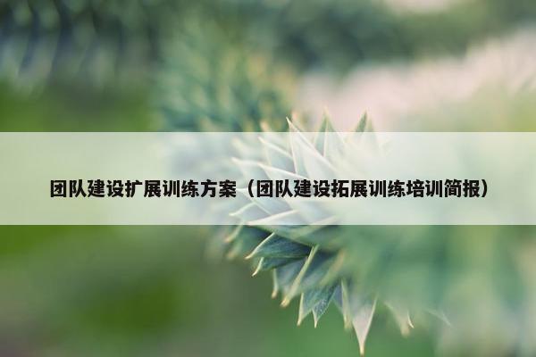 团队建设扩展训练方案（团队建设拓展训练培训简报）