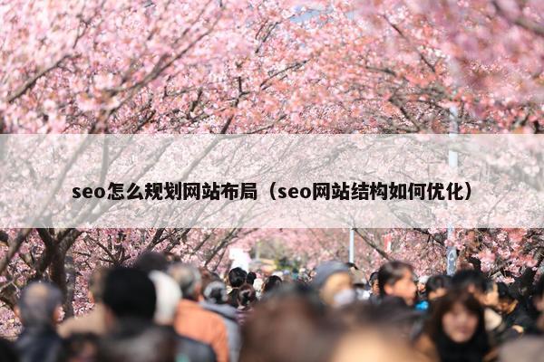 seo怎么规划网站布局（seo网站结构如何优化）