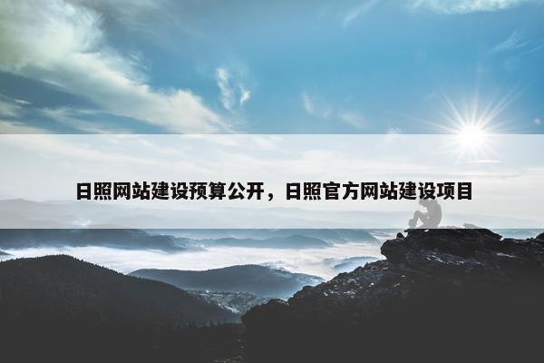 日照网站建设预算公开，日照官方网站建设项目