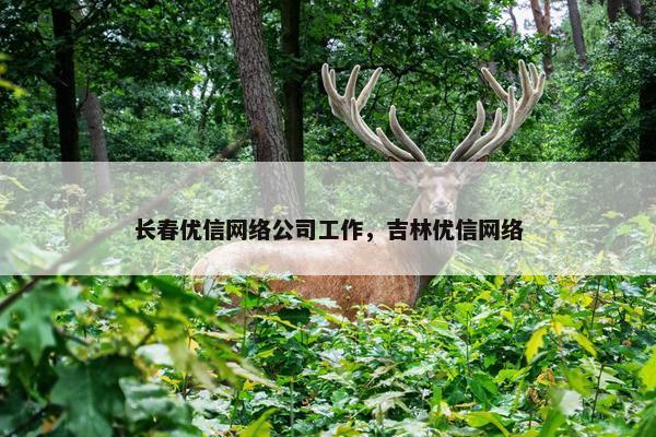长春优信网络公司工作，吉林优信网络