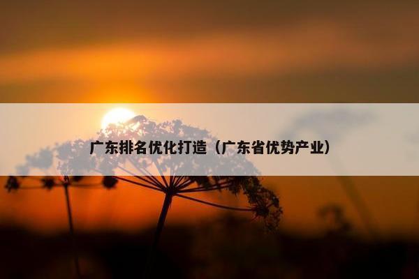 广东排名优化打造（广东省优势产业）
