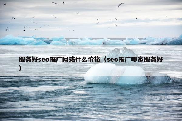服务好seo推广网站什么价格（seo推广哪家服务好）