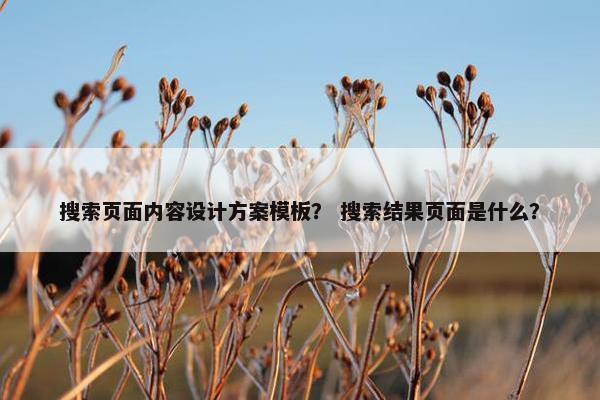 搜索页面内容设计方案模板？ 搜索结果页面是什么？