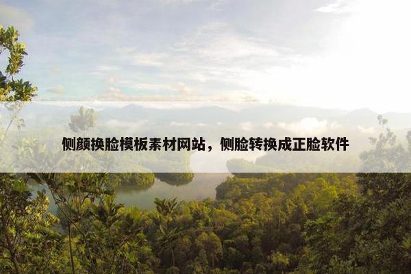 侧颜换脸模板素材网站，侧脸转换成正脸软件