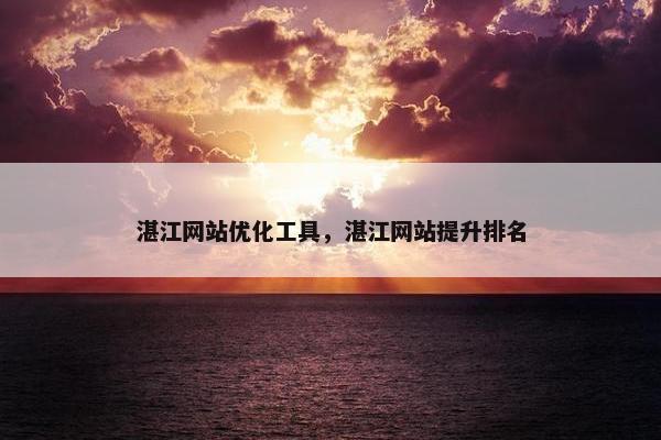 湛江网站优化工具，湛江网站提升排名