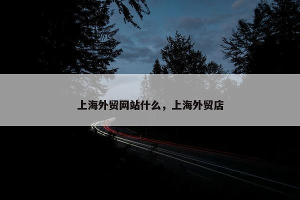 上海外贸网站什么，上海外贸店