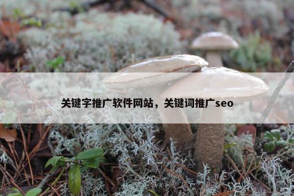 关键字推广软件网站，关键词推广seo