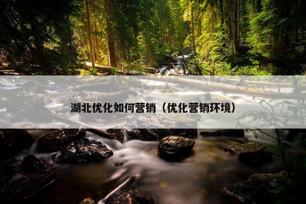 湖北优化如何营销（优化营销环境）